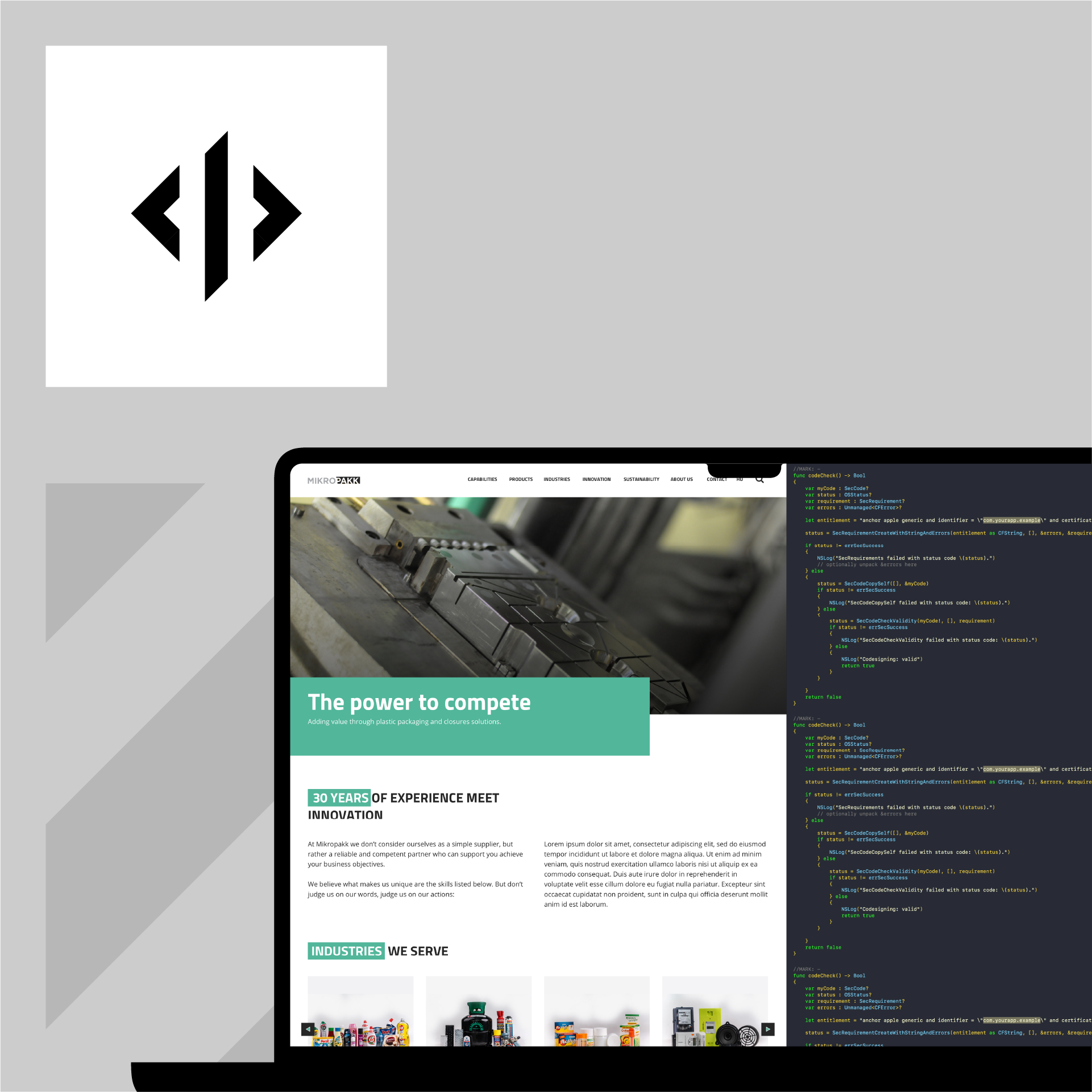 Website development